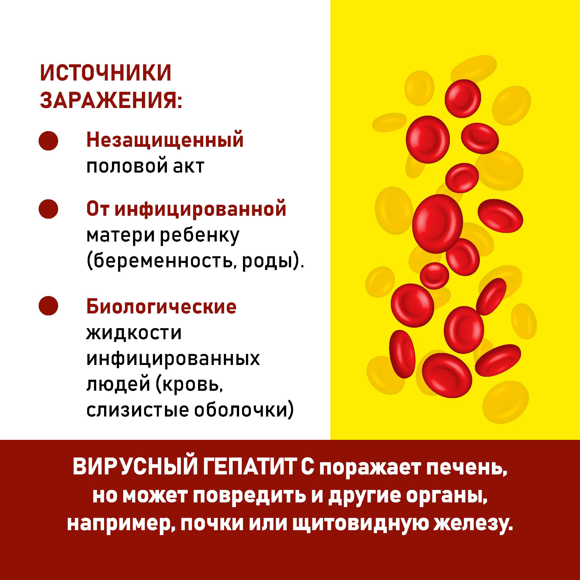 Профилактика гепатита С Профилактика гепатита С